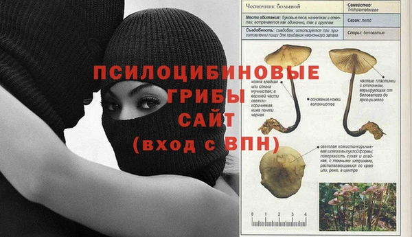 тгк Баксан