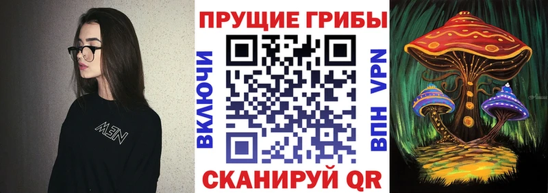 Купить закладки  Сибай  Псилоцибиновые грибы MAGIC MUSHROOMS 